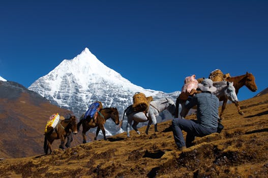 trekking in Bhutan