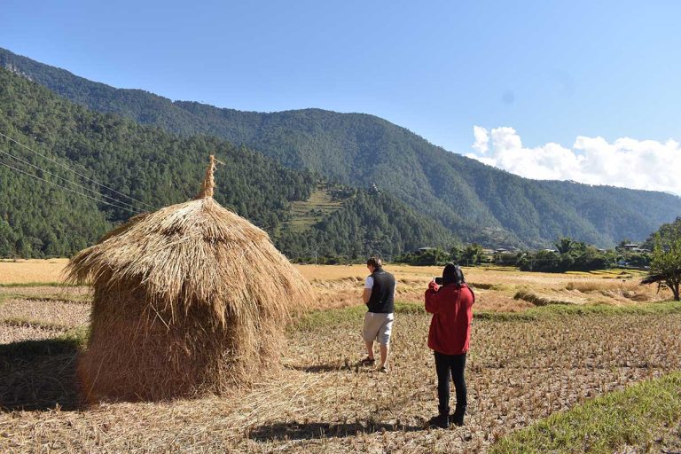 Things to do in Punakha